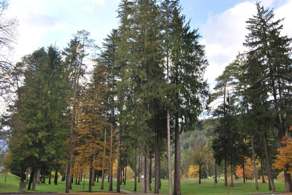 شقة Residenza Finestra Sul Parco كومانو تيرمي المظهر الخارجي الصورة